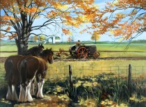 HORSE POWER By Rich Thistle©