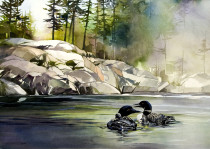 LOONS AT DAWN By Rich Thistle©