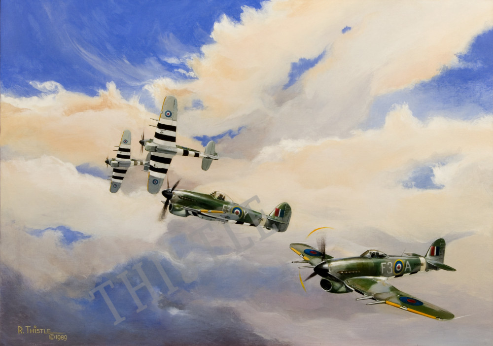 438 WILDCATS LOOKING FOR TROUBLE By Rich Thistle©