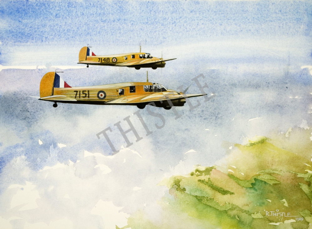 ANNIES STRAIGHT & LEVEL By Rich Thistle©