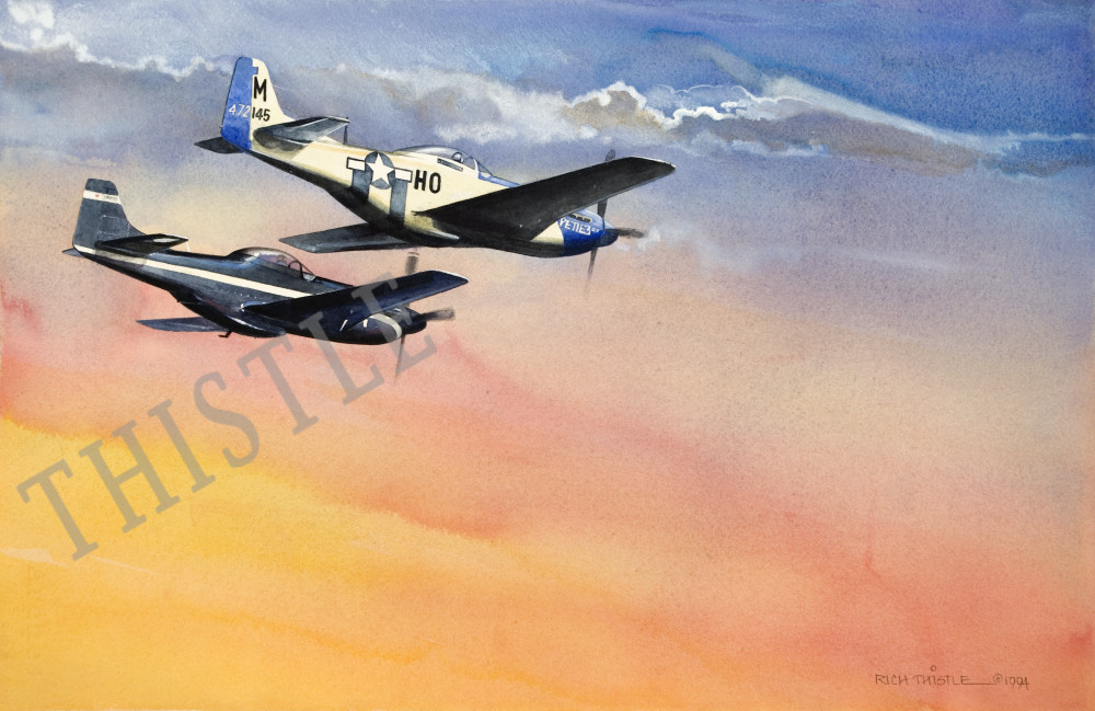 BIRDS OF A FEATHER By Rich Thistle©