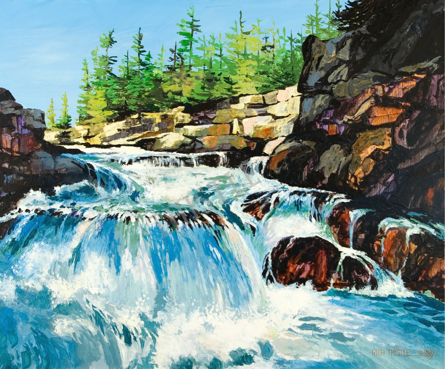 BOREAL THUNDER By Rich Thistle©