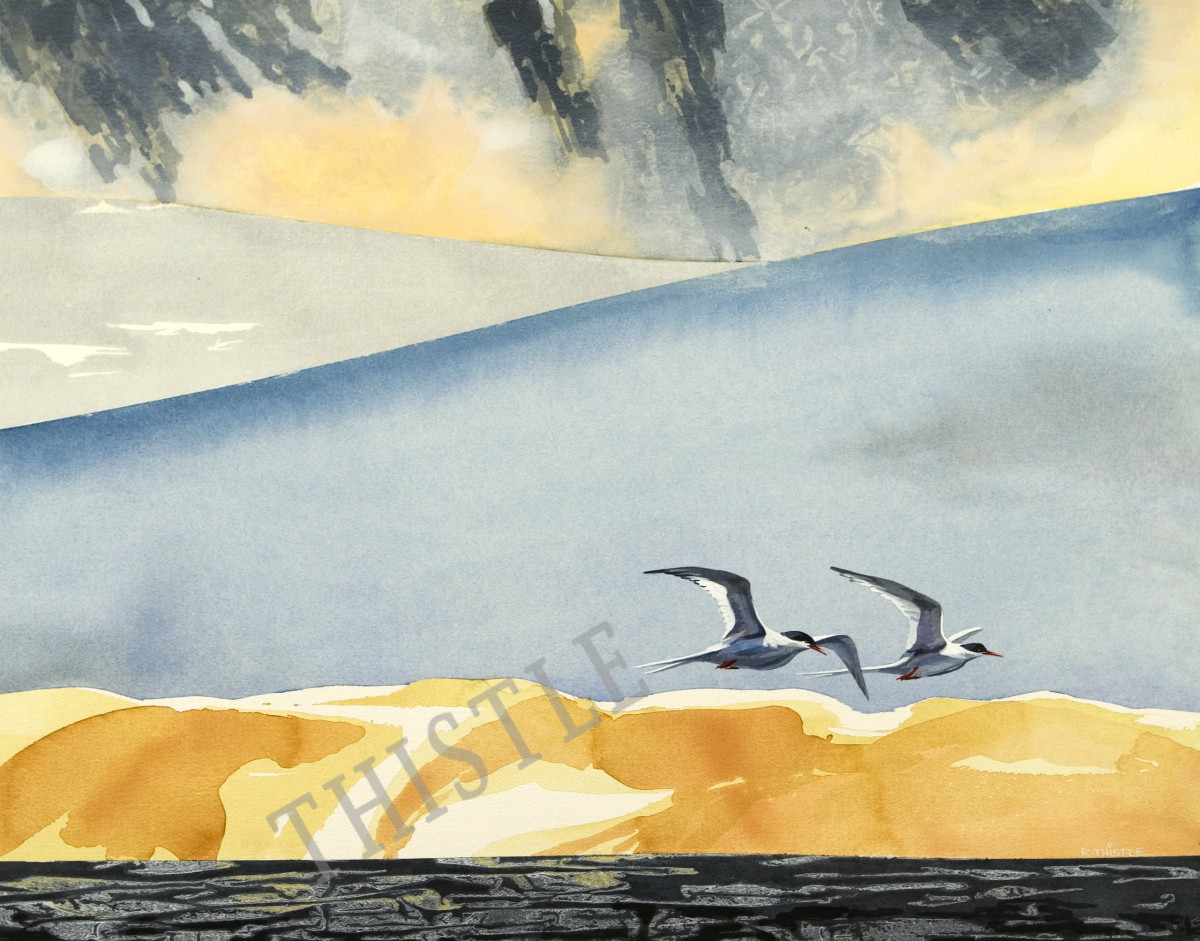 COLD SHORE JANUARY By Rich Thistle©