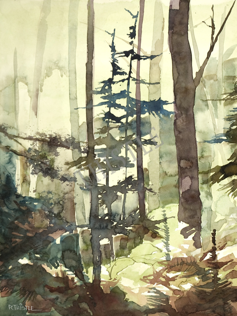 FOREST AFTERNOON By Rich Thistle©