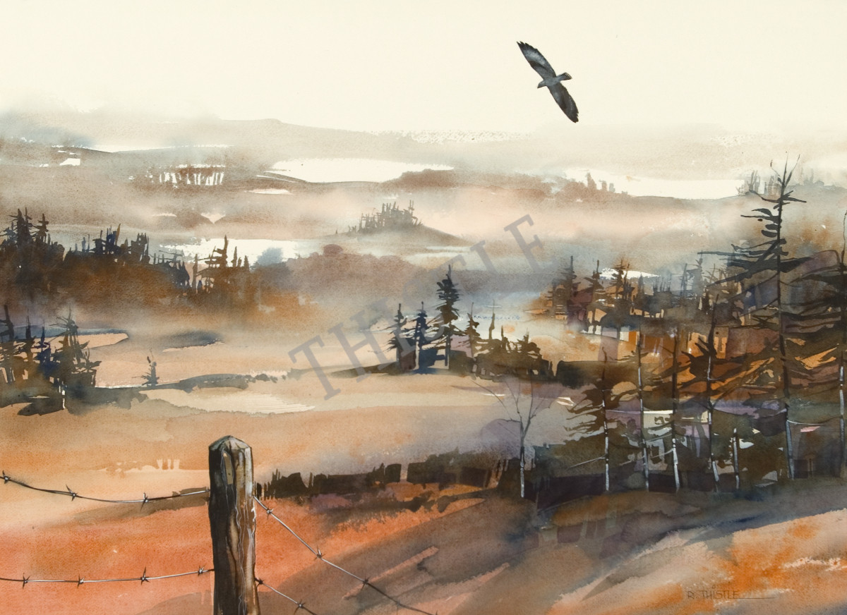 KINGDOM OF THE AIR By Rich Thistle©