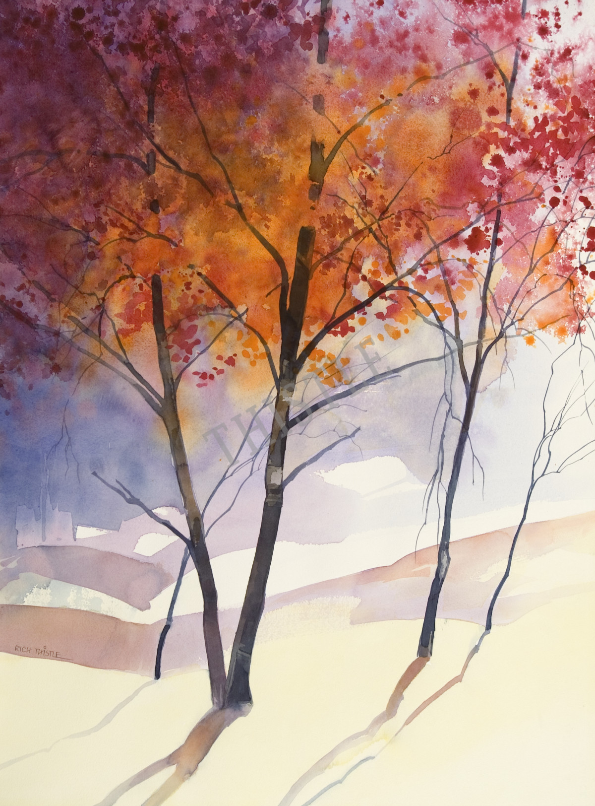 LAST LEAVES FIRST SNOW By Rich Thistle©