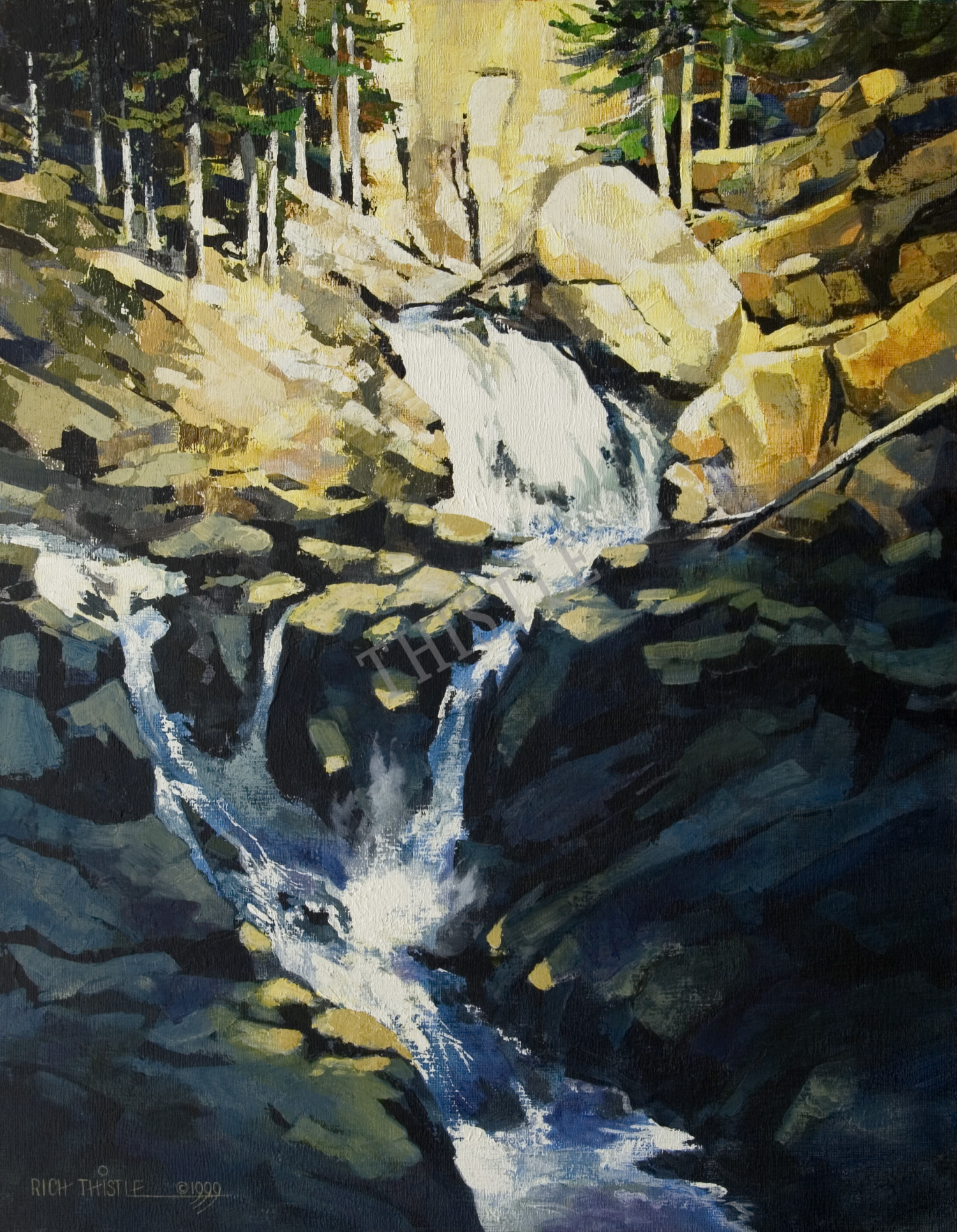 MOUNTAIN CASCADE By Rich Thistle©