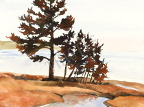 PINES AT SUNRISE By Rich Thistle©