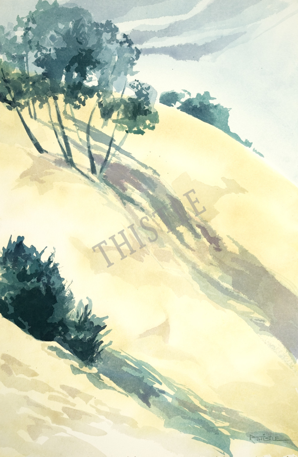 SAND DUNE By Rich Thistle©