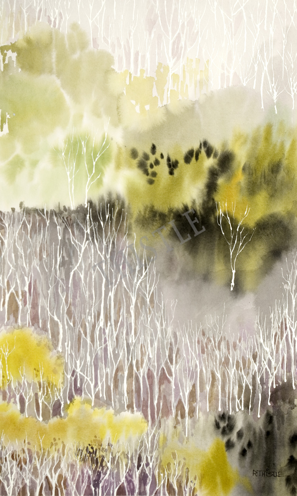 SPRING HILLSIDE By Rich Thistle©