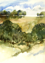 SUMMER AFTERNOON 2 By Rich Thistle©