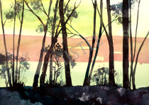 THROUGH THE TREES By Rich Thistle©