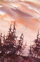 VIEW FROM THE ISLAND By Rich Thistle©